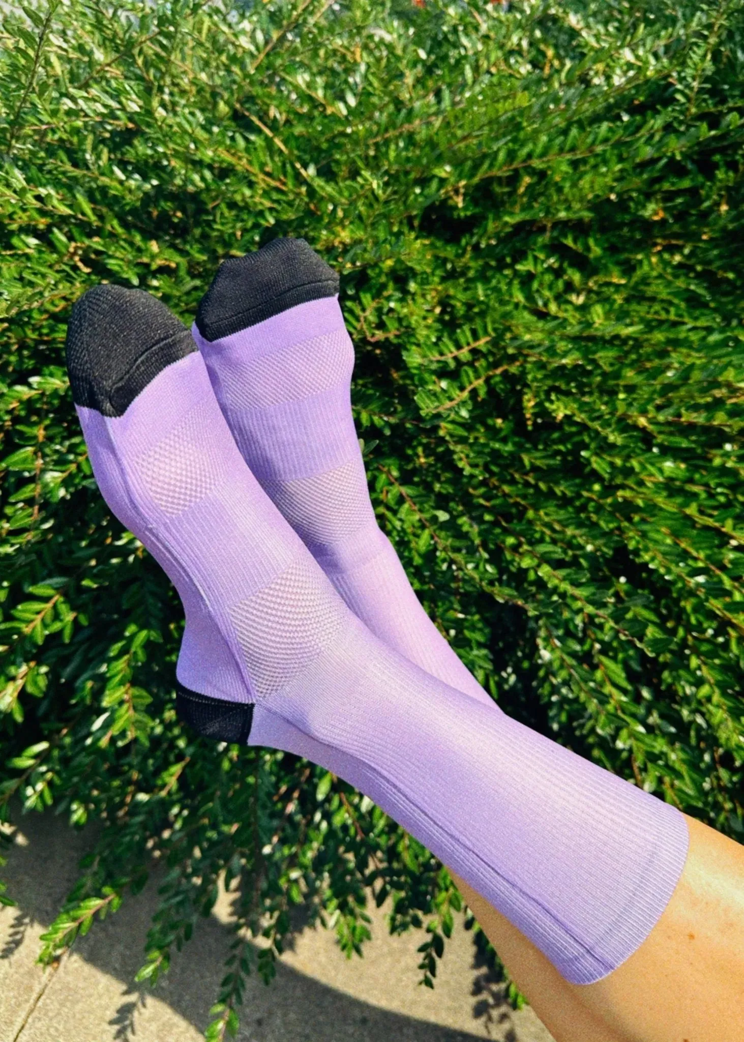 Performance Crew Socks -  Lavender